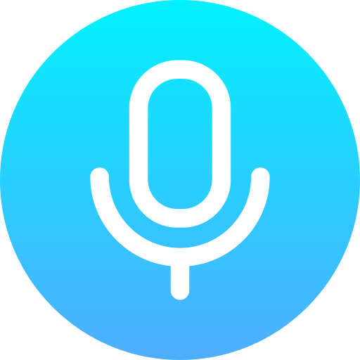 Voice Assistant